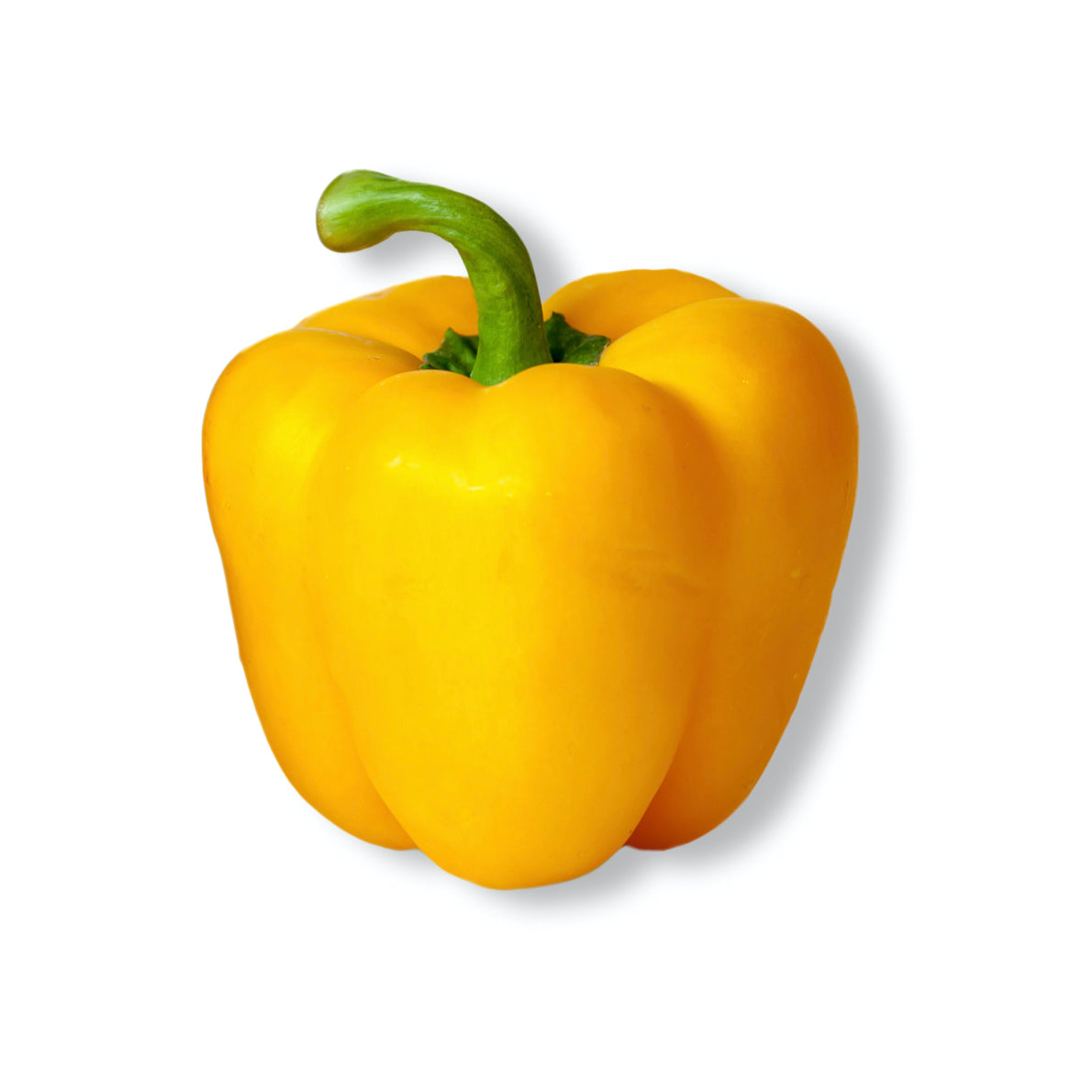 Yellow Bell Pepper
