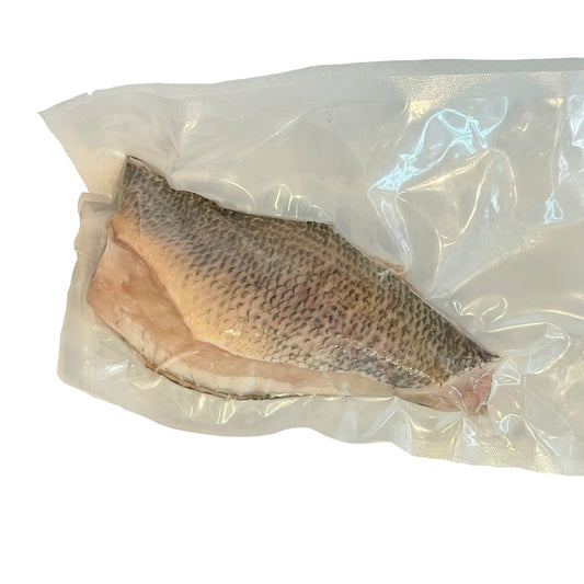Fresh Largemouth Bass
