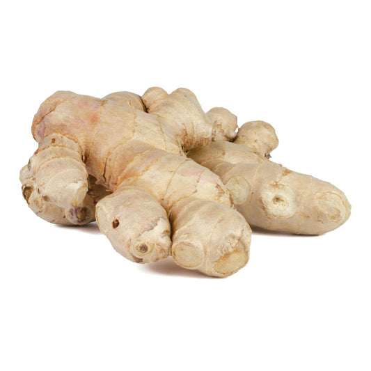 Ginger