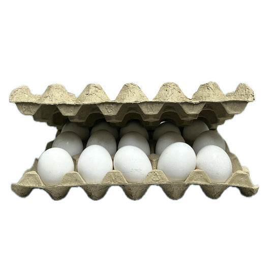 Half Tray of Eggs (15 pcs)