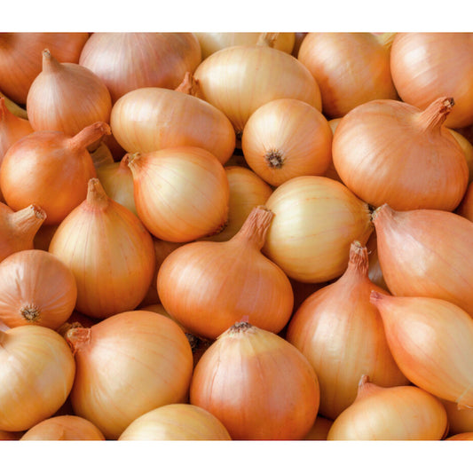 Onion